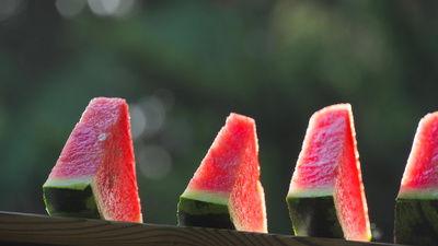 七夕网红吃瓜视频,甜蜜背后隐藏的瓜界风云 第3张 七夕网红吃瓜视频,甜蜜背后隐藏的瓜界风云 第3张
